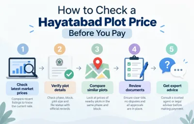 Step-by-step infographic explaining how to check Hayatabad plot prices including market rate analysis, official document verification, comparing nearby plots, reviewing legal titles, and consulting real estate agents.