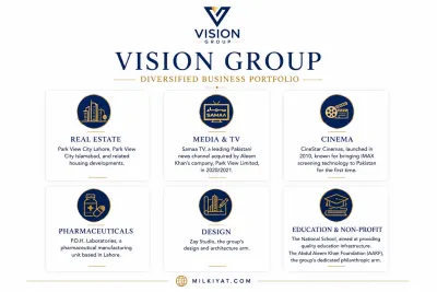 Vision Group's Business Portfolio