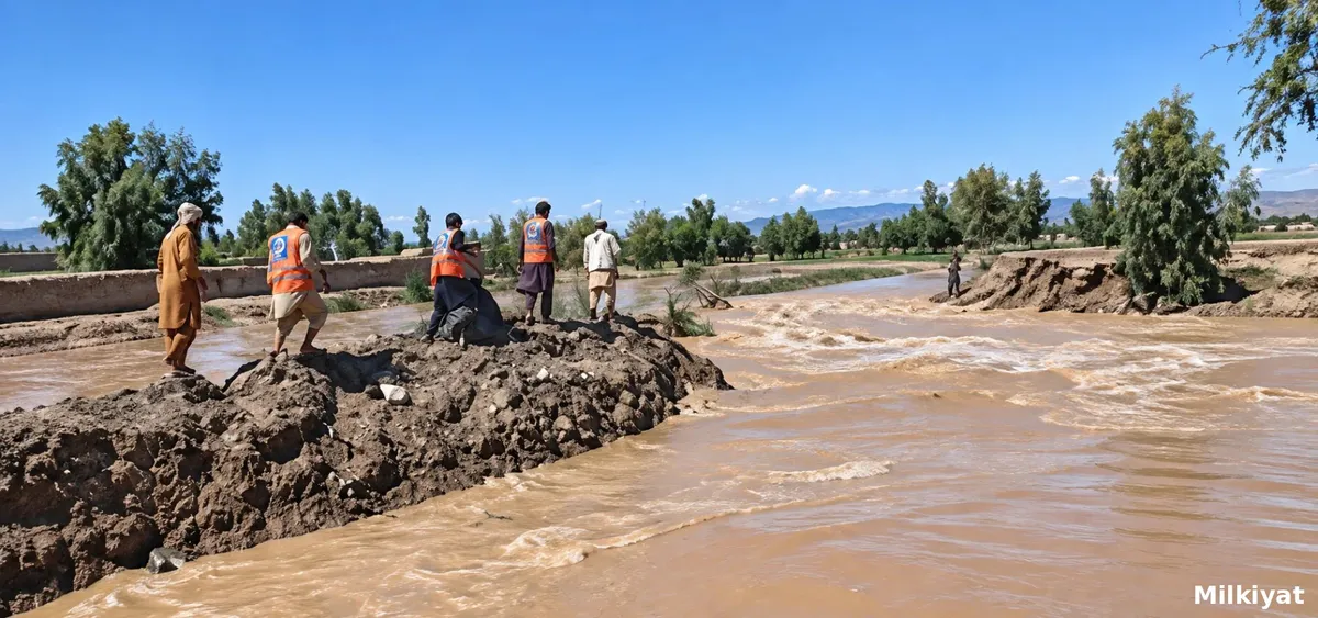 Canal Breach Floods Settlements Near D.I. Khan, Damaging Houses and Roads