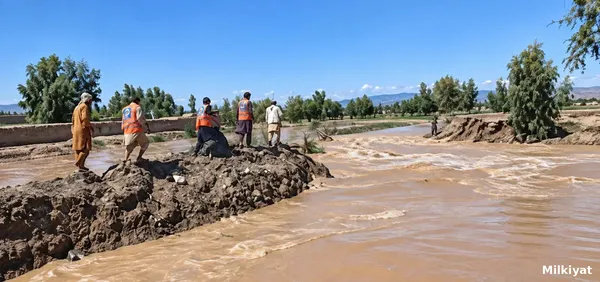 Canal Breach Floods Settlements Near D.I. Khan, Damaging Houses and Roads