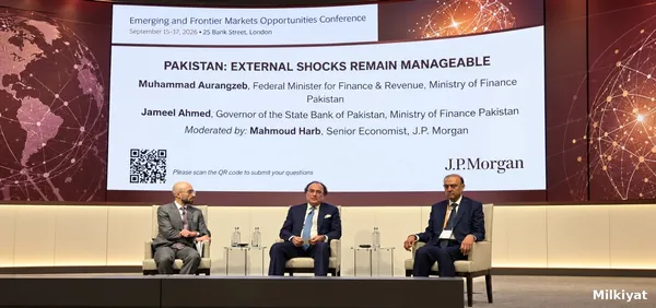 Government Developing National Private Equity Framework to Attract Institutional Capital