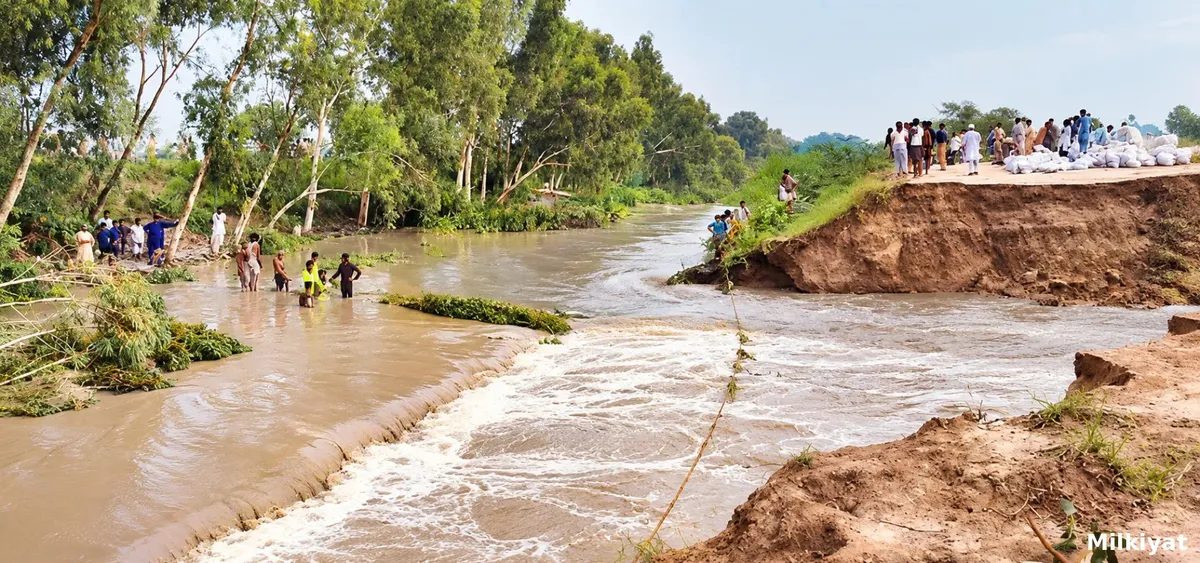 Indus Course Shift Raises Flood Threat to Settlements Near Larkana